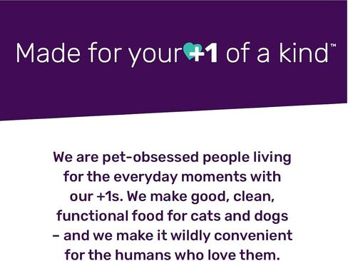 I AND LOVE AND YOU Feed Meow Tummy Wet Cat Food - Tuna + Pumpkin - Digestion Support, Grain Free, Shredded, 3oz Pack of 12 in Kuwait