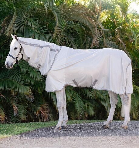 Horseware® Amigo® Integrated Fly Sheet - Silver/Titanium Grey & Silver, 81 in Kuwait
