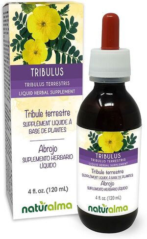 Naturalma Tribulus (Tribulus terrestris) صبغة الفاكهة الخالية من الكحول 4 أونصة سائلة في قطرات | مكمل عشبي | نباتي | منتج إيطاليا in Kuwait