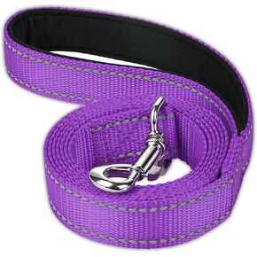 FunTags Reflective Nylon Dog Leash for Medium & Large Dogs, 6FT for Walks in Kuwait