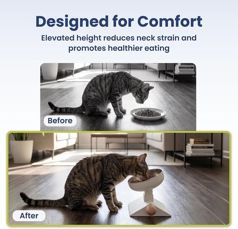 PawsPik Adjustable Height & Angle Elevated Stainless Steel Pet Bowl, 25 oz in Kuwait