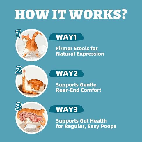 Wellix 7.05 oz Dog and Cat Anal Gland Supplement Powder with Psyllium Husk in Saudi Arabia