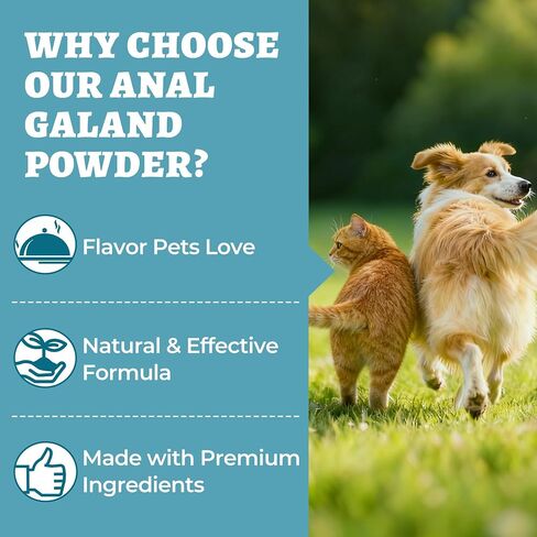 Wellix 7.05 oz Dog and Cat Anal Gland Supplement Powder with Psyllium Husk in Saudi Arabia