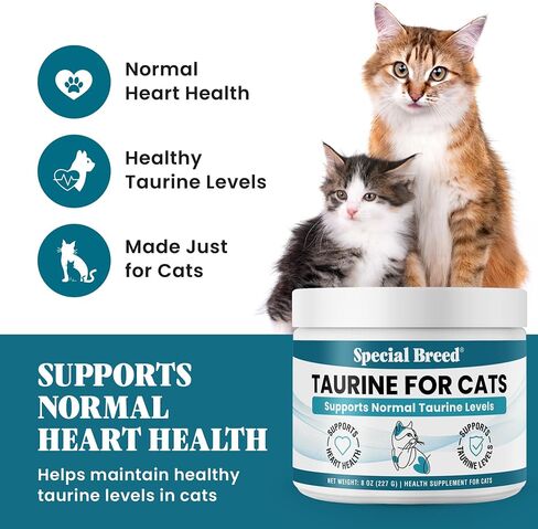 Special Breed Taurine for Cats Powder - Taurine Support, 150 mg Scoop, 8 oz in Saudi Arabia