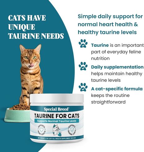Special Breed Taurine for Cats Powder - Taurine Support, 150 mg Scoop, 8 oz in Saudi Arabia