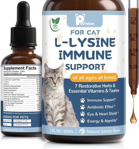 L-Lysine Supplement for Cats - Vitamins & Taurine for Immune Support & Allergy Relief - Lysine for Respiratory, Sneezing, Runny Nose, Eye Function - Natural Cat Antibiotic Drops - 60ML Slamon Flavor in Kuwait
