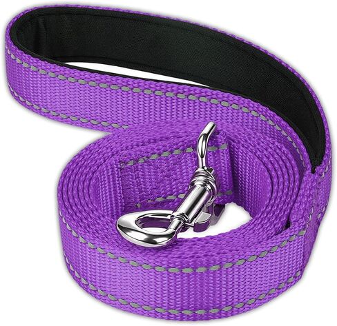 FunTags Reflective Nylon Dog Leash for Medium & Large Dogs, 6FT for Walks in Kuwait