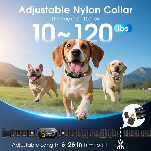 3 Pack Dog Bark Collar, Automatic Rechargeable 5-Mode Collar for Dogs in Saudi Arabia