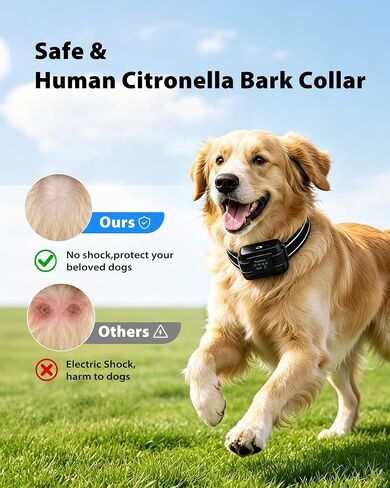 Citronella Dog Bark Collar, No Shock Bark Collar for 10-120Lbs Large Medium Small Dogs, Rechargeable Anti-Bark Collar with 3 Adjustable Sensitivity & Spray Levels, 2 Collar Straps, Black in Saudi Arabia