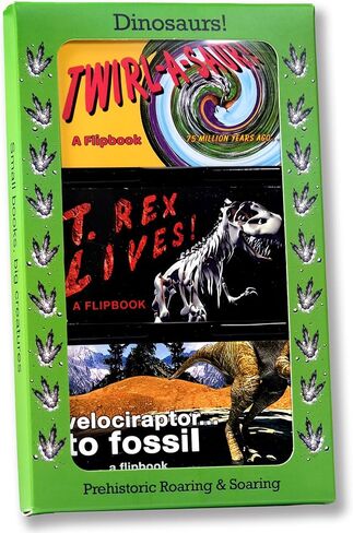 Fliptomania Fine Art Animation Flipbooks 3 Pack: Degas, Mona Lisa, Picasso in Kuwait