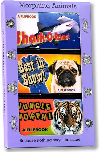 Fliptomania Fine Art Animation Flipbooks 3 Pack: Degas, Mona Lisa, Picasso in Kuwait