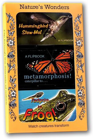 Fliptomania Fine Art Animation Flipbooks 3 Pack: Degas, Mona Lisa, Picasso in Kuwait