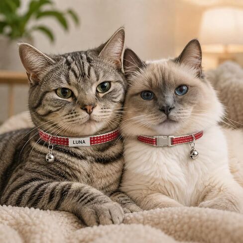 Personalized Reflective Cat Collar, Custom Engraved ID Tag, Safety Buckle in Saudi Arabia