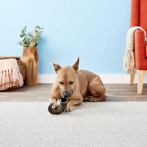 QT Dog Large Water Buffalo Horn - Long-Lasting 100% All-Natural Dog Chew, Ethically Sourced Protein-Packed & Low Fat Dental Chews, Ideal for All Breeds & Aggressive Chewers in Kuwait