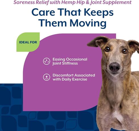 NaturVet Aches & Discomfort Plus Hemp Supplement for Dogs - 60 Soft Chews in Kuwait