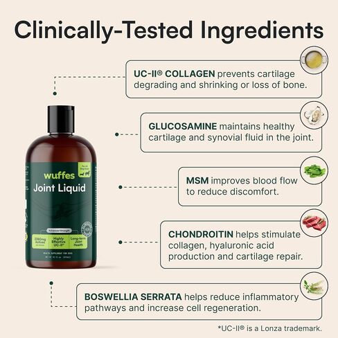 Wuffes Liquid Collagen & Glucosamine for Dogs, Hip & Joint Support, 16 oz. with UC-II Collagen, Glucosamine, Chondroitin & MSM. Supports Mobility, Cartilage & Joint Flexibility. Beef Flavor in Kuwait