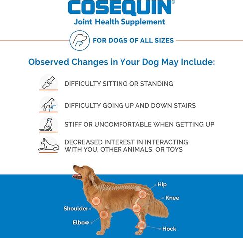 Nutramax Cosequin Joint Supplement for Dogs, Chewable Tablets, 250ct in Kuwait