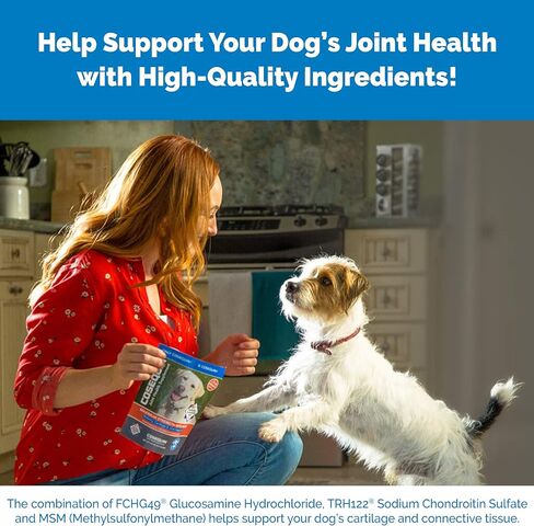 Nutramax Cosequin Joint Supplement for Dogs, Chewable Tablets, 250ct in Kuwait