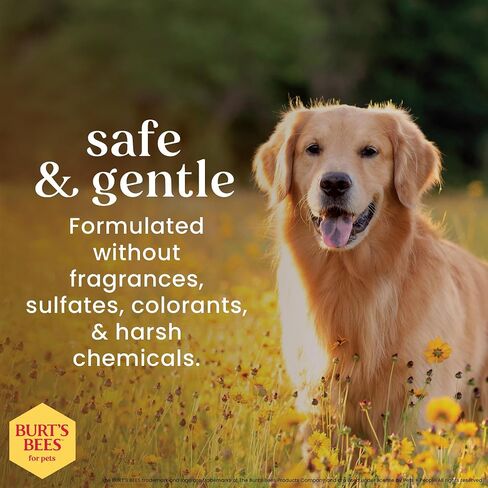 Burts Bees for Pets Honey Multipurpose Dog Grooming Wipes, 50 Count, 3-Pack in Kuwait