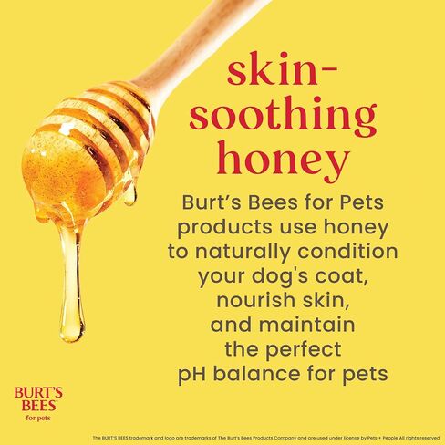 Burts Bees for Pets Honey Multipurpose Dog Grooming Wipes, 50 Count, 3-Pack in Kuwait