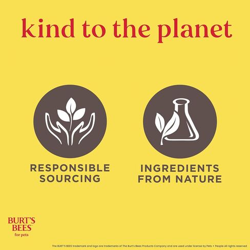 Burts Bees for Pets Honey Multipurpose Dog Grooming Wipes, 50 Count, 3-Pack in Kuwait