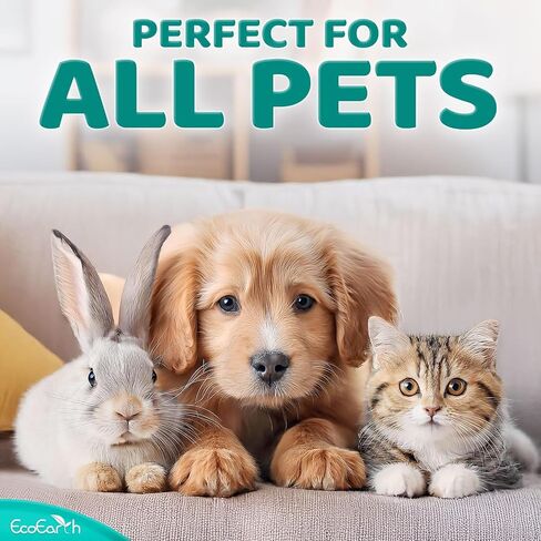 EcoEarth Premium Eye Wipes for Dogs & Cats, 100 pc, Pet Eyes Cleaning Pads in Saudi Arabia