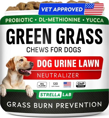 STRELLALAB Anal Gland Support Chews for Dogs - Scoot Treatment - Enzymes in Saudi Arabia