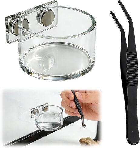Jumping Spider Feeding Dish 1 Pack Magnetic Water Bowl with Tweezers in Kuwait