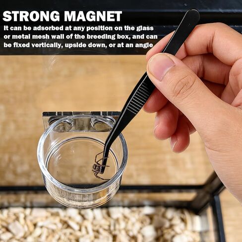 Jumping Spider Feeding Dish 1 Pack Magnetic Water Bowl with Tweezers in Kuwait