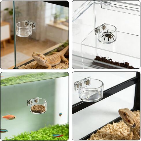 Jumping Spider Feeding Dish 1 Pack Magnetic Water Bowl with Tweezers in Kuwait