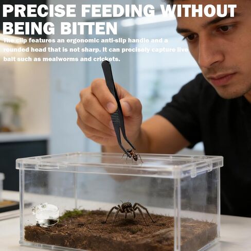 Jumping Spider Feeding Dish 1 Pack Magnetic Water Bowl with Tweezers in Kuwait