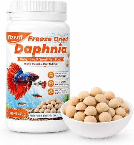Instant Baby Brine Shrimp Fish Food, No Hatch Fry Food, 50 ml in Kuwait