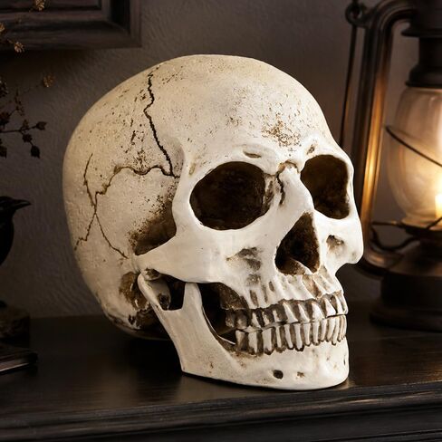 ENNAS 1:1 Resin Skull Head Model Simulation Skeleton Head Medical Skull Art Copy for Halloween Decor in Saudi Arabia
