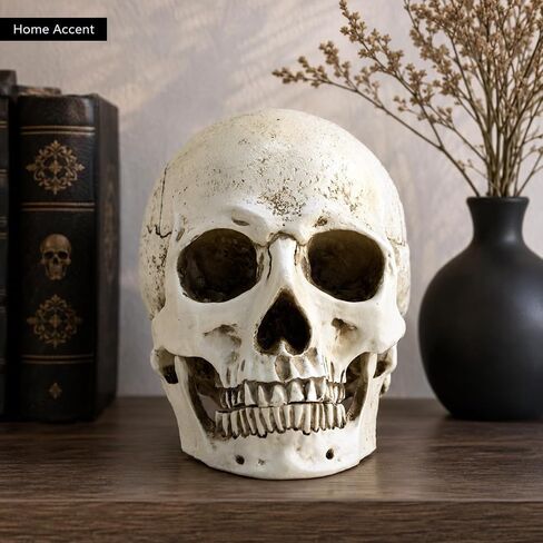 ENNAS 1:1 Resin Skull Head Model Simulation Skeleton Head Medical Skull Art Copy for Halloween Decor in Saudi Arabia
