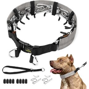 Mayerzon Hidden No Pull Dog Collar for Large Medium Small Dogs, Martingale in Kuwait