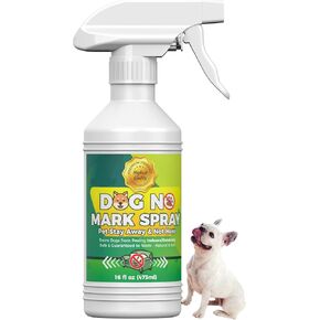 Housebreaking Spray for Puppies and Adult Dogs, 32 Fl Oz in Saudi Arabia