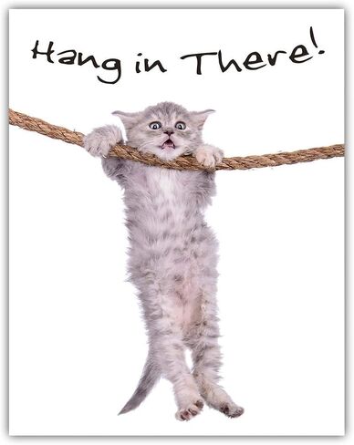 Hang in There - Motivational Quote Encouragement Poster, Inspirational Art Animal Print for Home Decor Office Decor, Cute Gift Idea for Cat Lovers, 11x14 Unframed Art Print Poster in Kuwait