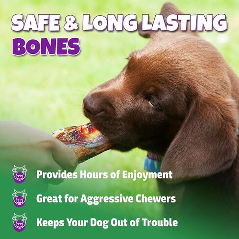 Marrow Bones for Dogs, Beef Filled Dog Bones, 3-6 Inch 6-Pk in Kuwait