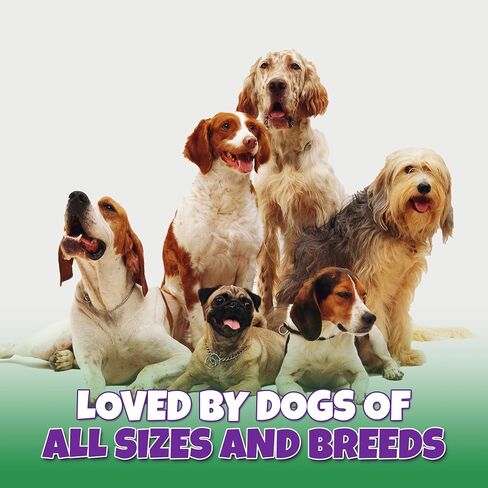 Marrow Bones for Dogs, Beef Filled Dog Bones, 3-6 Inch 6-Pk in Kuwait
