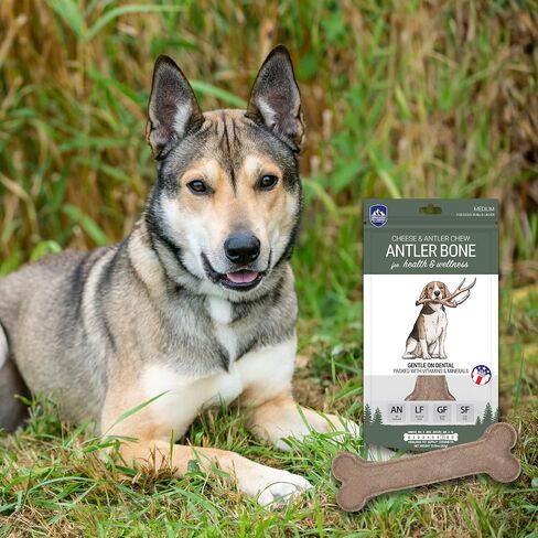 Himalayan Dog Chew, Antler & Cheese Dog Bone, 1 Bone for Health & Wellness in Kuwait