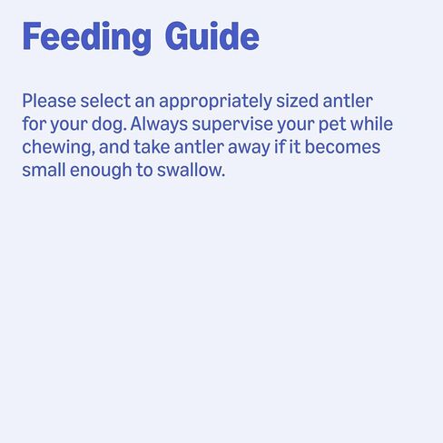 Amazon Basics Dog Deer Antler Chew, Naturally Shed, Whole, Large 8-9.5 inches, Long Lasting for Aggressive Chewers, Best for Dogs 30-45 lbs, 3.20 Ounce (Pack of 1) (Previously Wag) in Kuwait