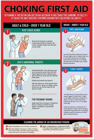 Safety Choking Victim Poster Measures 12" x 18", Choking First Aid Poster for Infants, Kids, Pregnants, and Adults, First Aid Guide Quick Reference Guide, Laminated by Ring Binder Depot in Kuwait