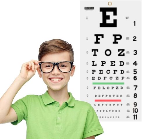 مخطط العين بيكولا، مخطط العين سنيلين، مخطط الحائط، مخططات العين لامتحانات العين 20 قدم 11 × 22 بوصة. in Kuwait