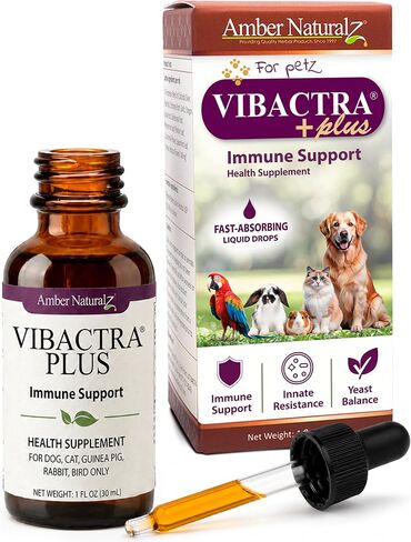 Amber NaturalZ Vibactra Plus for Pets, Immune Health & Yeast Balance, 1 OZ in Saudi Arabia