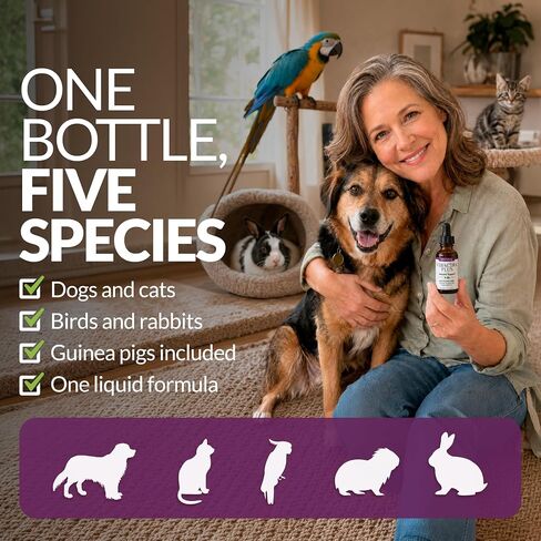 Amber NaturalZ Vibactra Plus for Pets, Immune Health & Yeast Balance, 1 OZ in Kuwait
