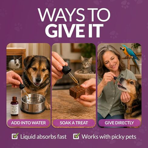 Amber NaturalZ Vibactra Plus for Pets, Immune Health & Yeast Balance, 1 OZ in Kuwait