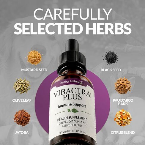Amber NaturalZ Vibactra Plus for Pets, Immune Health & Yeast Balance, 1 OZ in Kuwait