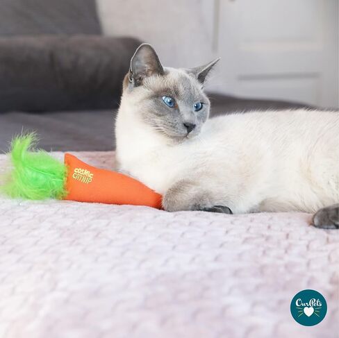 OurPets 100-Percent North American Catnip Filled Carrot Cat Toy 24 Karat in Saudi Arabia