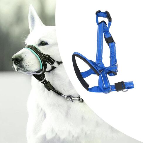 Dog Collar Dog Halter Collars Headcollars with Safety Strap, Pet Headcollar Stops Pets from Pulling for Outdoor Walk (XL) in Kuwait