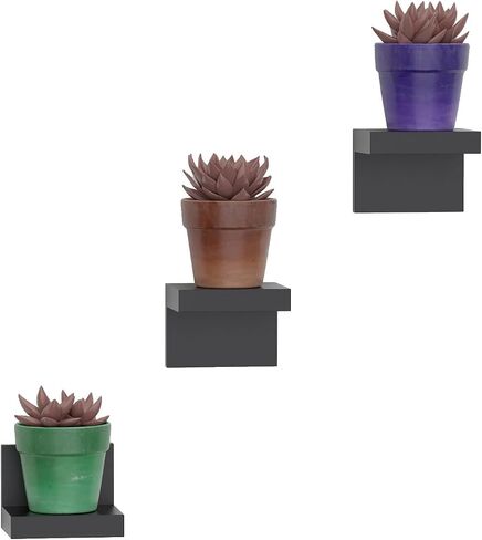 RICHER HOUSE 3-Pack Small Floating Shelves for Wall, Plastic Black Mini Shelf 4 Inch Display Ledges for Small Decor with 2 Types of Installation (Adhesive or Screw) in Kuwait
